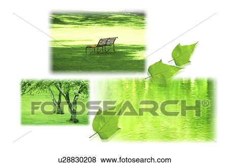 Stock Illustration - A collage of leaves with a park and water (digital composite). Fotosearch