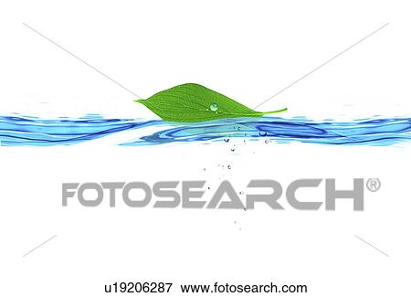Stock Illustration - A leaf floating on the surface of water (digital composite). Fotosearch