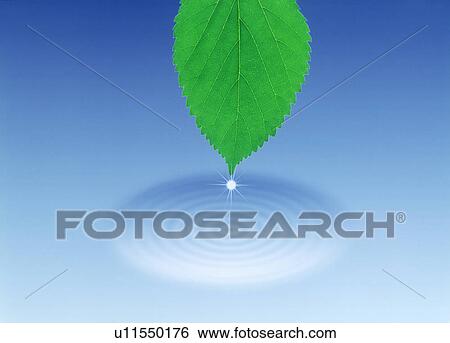 Stock Illustration - Close-up of a leaf with a sparkling tip (digital composite). Fotosearch