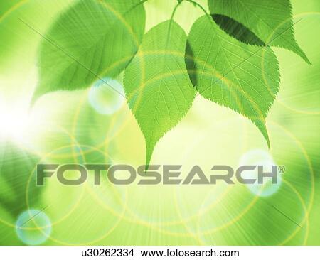 Stock Illustration - Close-up of leaves. Fotosearch