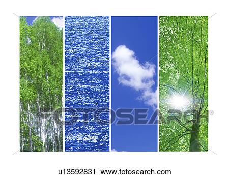 Collage of tree and water View Large Illustration Clip Art - Collage of tree and water. Fotosearch