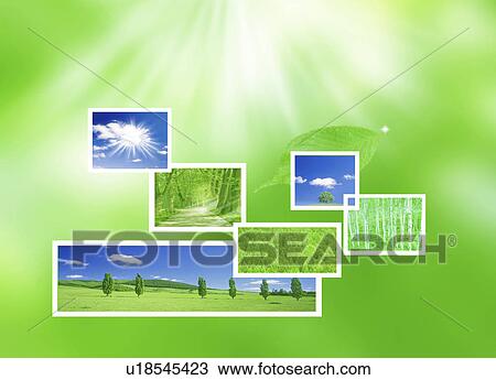 Drawing - Collage of trees. Fotosearch