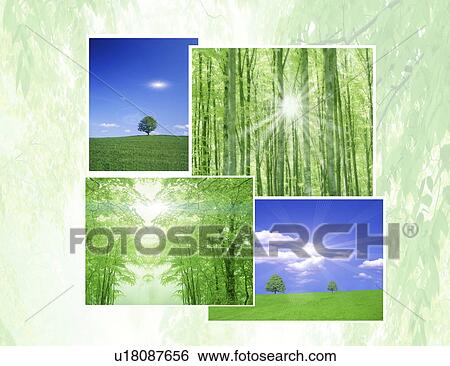Stock Illustration - Collage of trees. Fotosearch