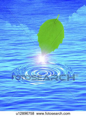 Pointed tip of leaf shining (digital composite) View Large Illustration Stock Illustration - Pointed tip of leaf shining (digital composite). Fotosearch