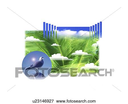 View of a bird and palm leaves View Large Illustration Stock Illustration - View of a bird and palm leaves. Fotosearch