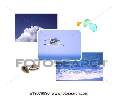 View of a bird flying View Large Illustration Clipart - View of a bird flying. Fotosearch