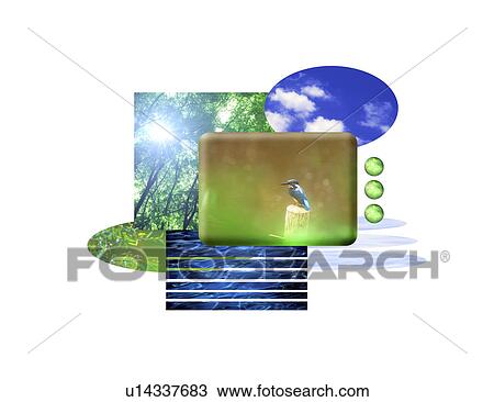 View of a kingfisher bird View Large Illustration Drawing - View of a kingfisher bird. Fotosearch