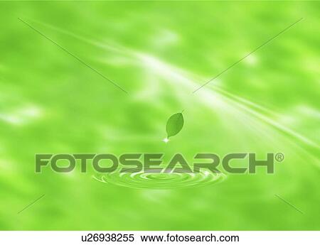 Stock Illustration - View of a tip of a leaf shinning (digital composite). Fotosearch