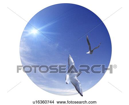 View of birds and globe View Large Illustration Stock Illustration - View of birds and globe. Fotosearch