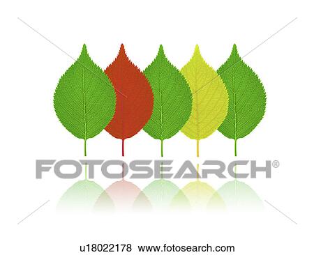 Stock Illustration - View of colorful leaves (digital composite). Fotosearch