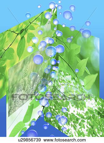 View of green leaves and bubbles (digital composite) View Large Illustration Stock Illustration - View of green leaves and bubbles (digital composite). Fotosearch