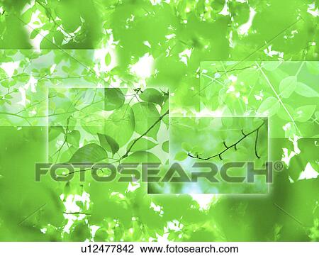 View of green leaves on branches (digital composite) View Large Illustration Drawing - View of green leaves on branches (digital composite). Fotosearch