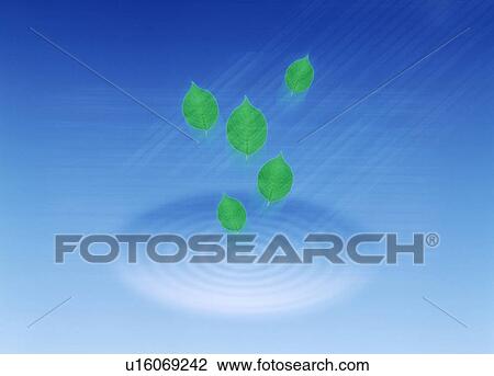 Drawing - View of leaves falling in water (digital composite). Fotosearch