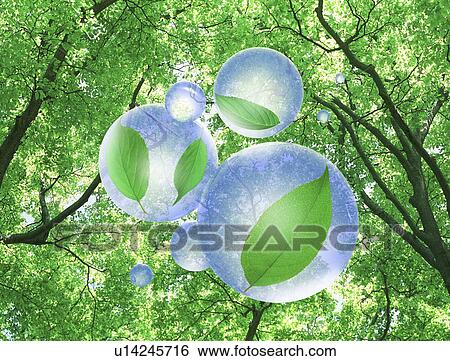 View of leaves in bubbles (digital composite) View Large Illustration Stock Illustration - View of leaves in bubbles (digital composite). Fotosearch