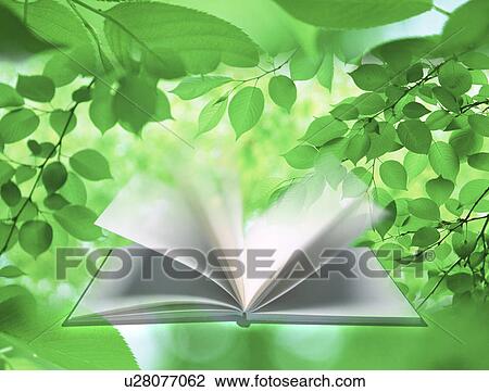 Drawing - View of pages of a book turned by breeze (digital composite). Fotosearch