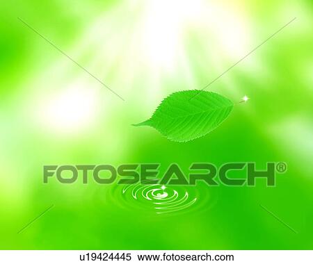 Stock Illustration - View of ripples and a leaf with lush greenness (digital composite). Fotosearch