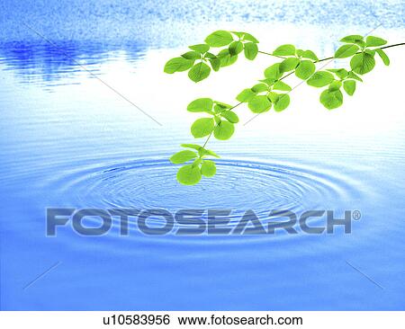 Stock Illustration - View of stem with leaves over a lake. Fotosearch