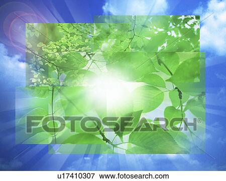 View of sunlight and green leaves (digital composite) View Large Illustration Stock Illustration - View of sunlight and green leaves (digital composite). Fotosearch