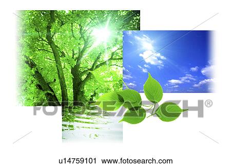 Clip Art - View of sunlight through trees. Fotosearch