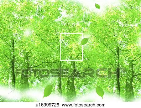 Stock Illustration - View of tall trees (digital composite). Fotosearch