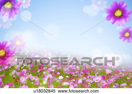 Stock Photography - Flower Field. Fotosearch