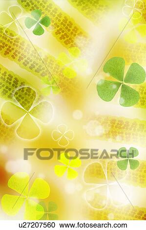 Leaves View Large Photo Image Stock Image - Leaves. Fotosearch