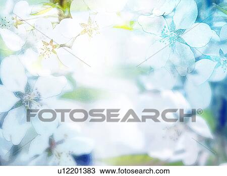 White flowers View Large Photo Image Stock Image - White flowers. Fotosearch