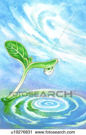 花 水彩画の絵 の A 緑の葉 上に 水 クリップアート U Fotosearch