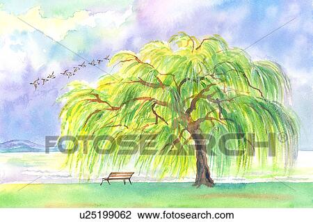 Flower, Watercolor painting of beauty in nature View Large Illustration Drawing - Flower, Watercolor painting of beauty in nature. Fotosearch