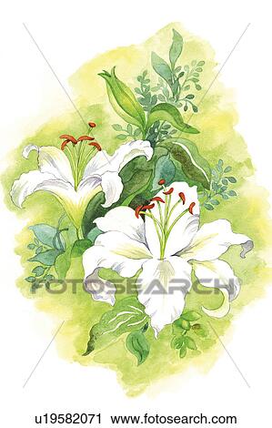 Flower, Watercolor painting of blossom View Large Illustration Clip Art - Flower, Watercolor painting of blossom. Fotosearch