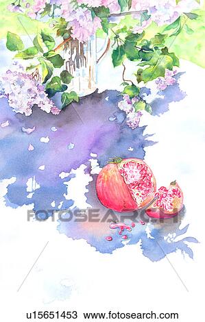 Flower, Watercolor painting of blossoms and pomegranate View Large Illustration Drawing - Flower, Watercolor painting of blossoms and pomegranate. Fotosearch