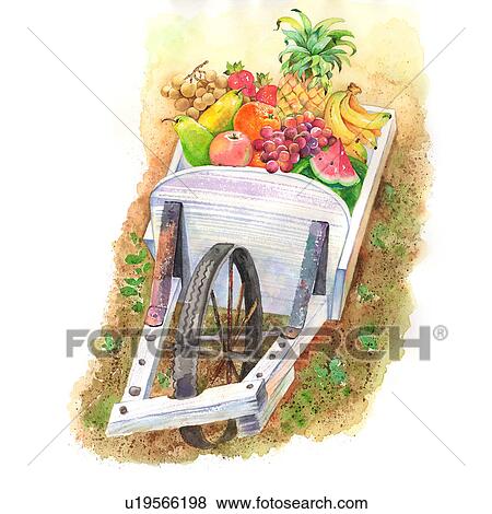 Stock Illustration - Flower, Watercolor painting of many kinds of fruits on a push cart. Fotosearch