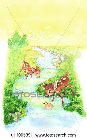 動物 水彩画の絵 の ２匹の鹿 遊び 前方へ 小川 クリップアート U Fotosearch
