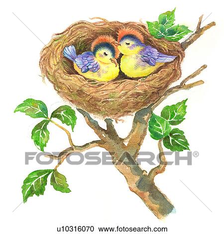 動物 水彩画の絵 の ２羽の鳥 睡眠 中に 巣 クリップアート 切り張り イラスト 絵画 集 U Fotosearch