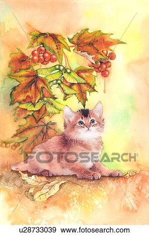 動物 水彩画の絵 の A かわいい ネコ 休む イラスト U Fotosearch