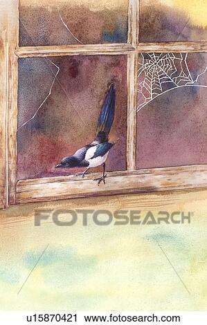 Clip Art - Animal, Watercolor painting of a bird standing on a broken window. Fotosearch