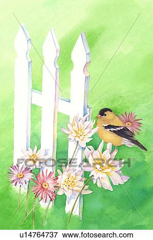 Stock Illustration - Animal, Watercolor painting of a bird perching on the flowers. Fotosearch