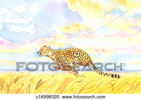 Animal, Watercolor painting of a leopard running on prairie View Large Illustration Clipart - Animal, Watercolor painting of a leopard running on prairie. Fotosearch