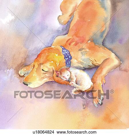 Animal, Watercolor painting of a dog and a cat sleeping together View Large Illustration Stock Illustration - Animal, Watercolor painting of a dog and a cat sleeping together. Fotosearch