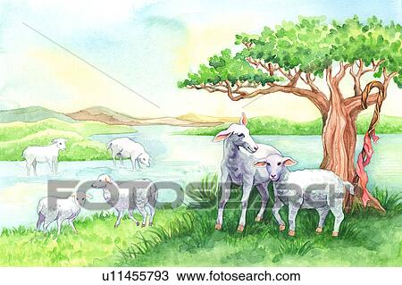 Animal, Watercolor painting of a group of lambs resting on riverside View Large Illustration Drawing - Animal, Watercolor painting of a group of lambs resting on riverside. Fotosearch