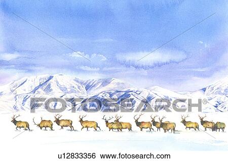 Animal, Watercolor painting of a group of deer walking on the snow View Large Illustration Stock Illustration - Animal, Watercolor painting of a group of deer walking on the snow. Fotosearch