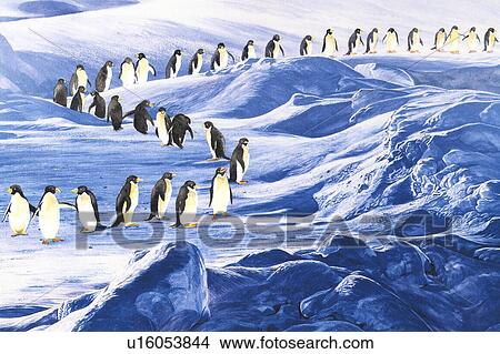 Animal, Watercolor painting of a large group of penguins walking on the snow land View Large Illustration Stock Illustration - Animal, Watercolor painting of a large group of penguins walking on the snow land. Fotosearch