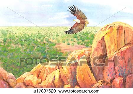 Clipart - Animal, Watercolor painting of an eagle flying above rocks. Fotosearch