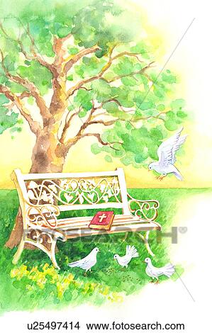 Stock Illustration - Animal, Watercolor painting of doves perching on the lawn with bible and bench. Fotosearch