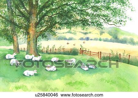 Stock Illustration - Animal, Watercolor painting of goats resting on the lawn. Fotosearch