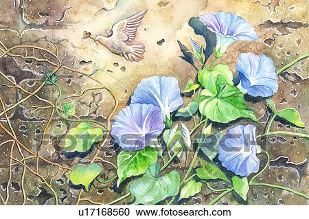 Animal, Watercolor painting of petunia and a flying dove on the wall View Large Illustration Clipart - Animal, Watercolor painting of petunia and a flying dove on the wall. Fotosearch