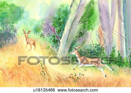 Animal, Watercolor painting of two deer running in the woods View Large Illustration Stock Illustration - Animal, Watercolor painting of two deer running in the woods. Fotosearch
