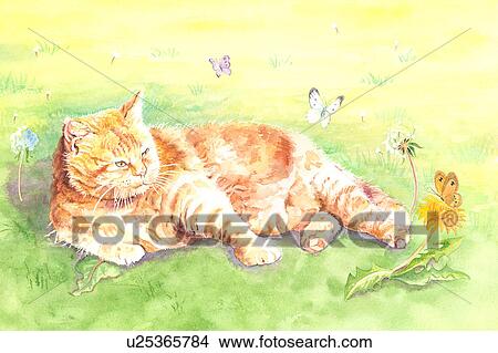Insects, Animal, Watercolor painting of a cat looking at butterflies View Large Illustration Stock Illustration - Insects, Animal, Watercolor painting of a cat looking at butterflies. Fotosearch