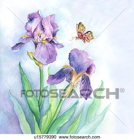 Insects, Watercolor painting of a butterfly flying above flowers View Large Illustration Clipart - Insects, Watercolor painting of a butterfly flying above flowers. Fotosearch