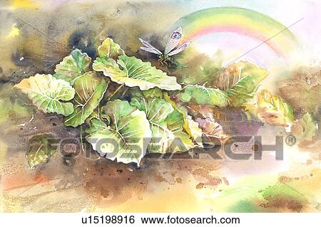 Insects, Watercolor painting of a dragonfly in nature View Large Illustration Stock Illustration - Insects, Watercolor painting of a dragonfly in nature. Fotosearch